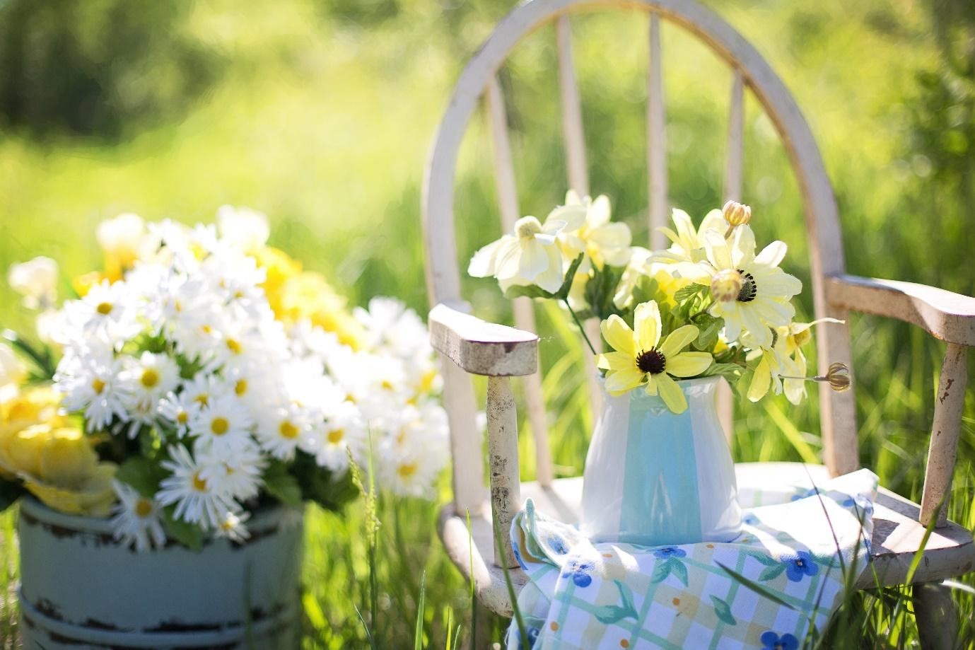 Daisies peaceful sitting on a garden chair
