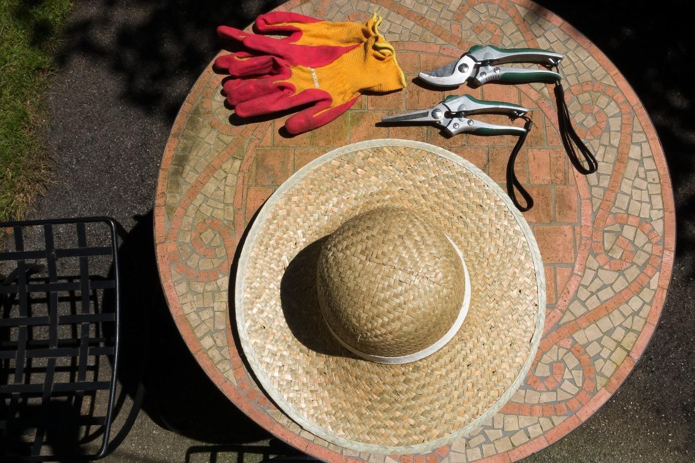 Gardening tools for seniors